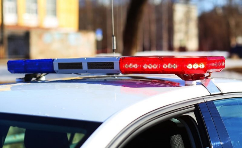 В Еткульском районе полицейские по горячим следам задержали автоугонщика